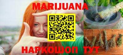 мяу мяу мука Гай