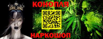 мяу мяу мука Гай