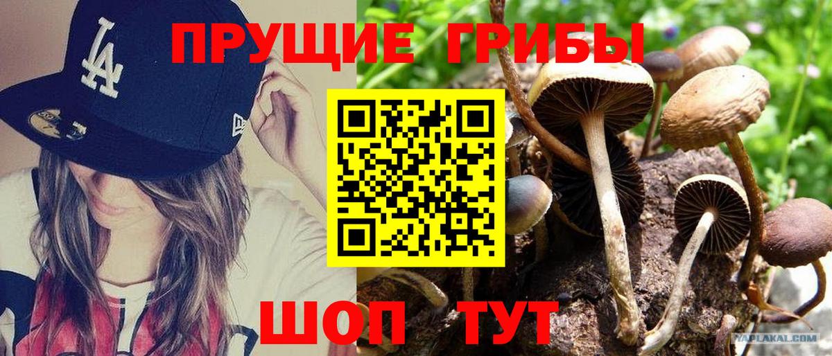 Галлюциногенные грибы ЛСД Дагестанские Огни