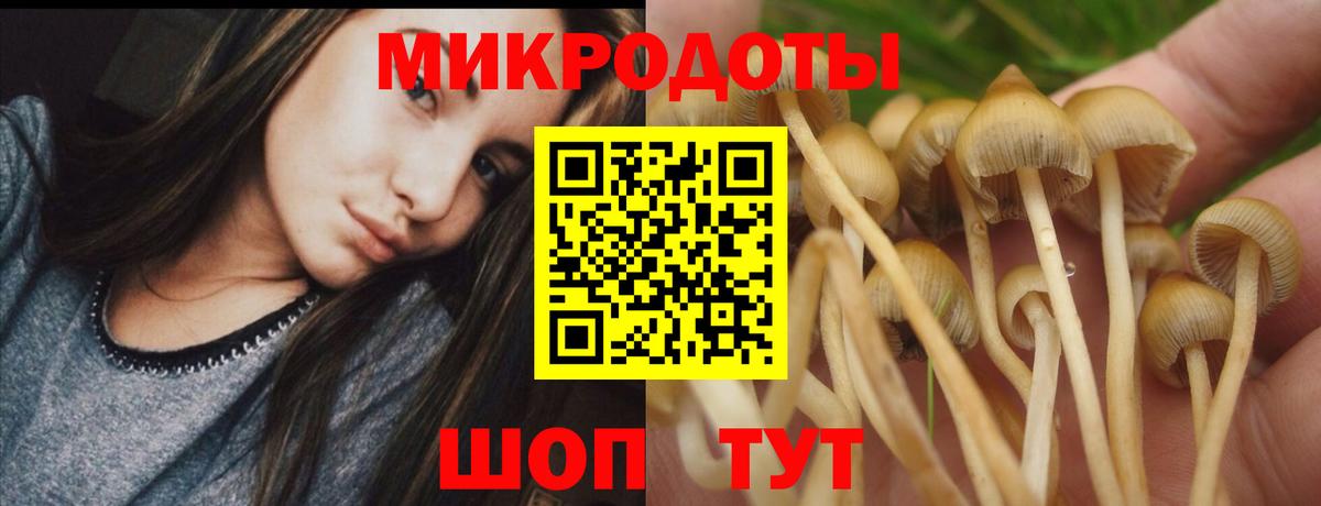 Дагестанские Огни  Псилоцибиновые грибы ЛСД  Вход с VPN  Галлюциногенные грибы Magic Shrooms 